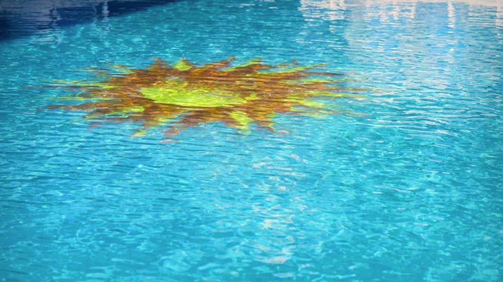Swimming pool's design